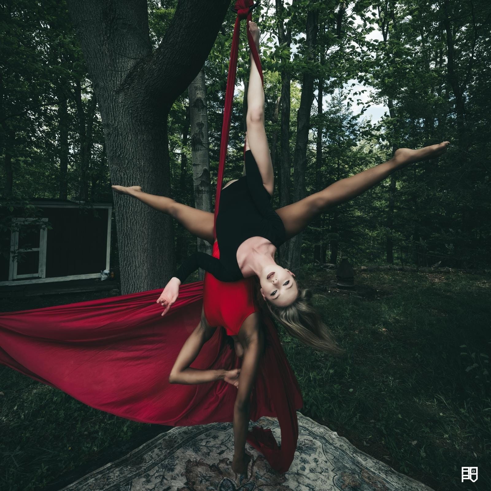 Lana West performing an inverted aerial silks split pose in a black and red leotard against a forest backdrop.
