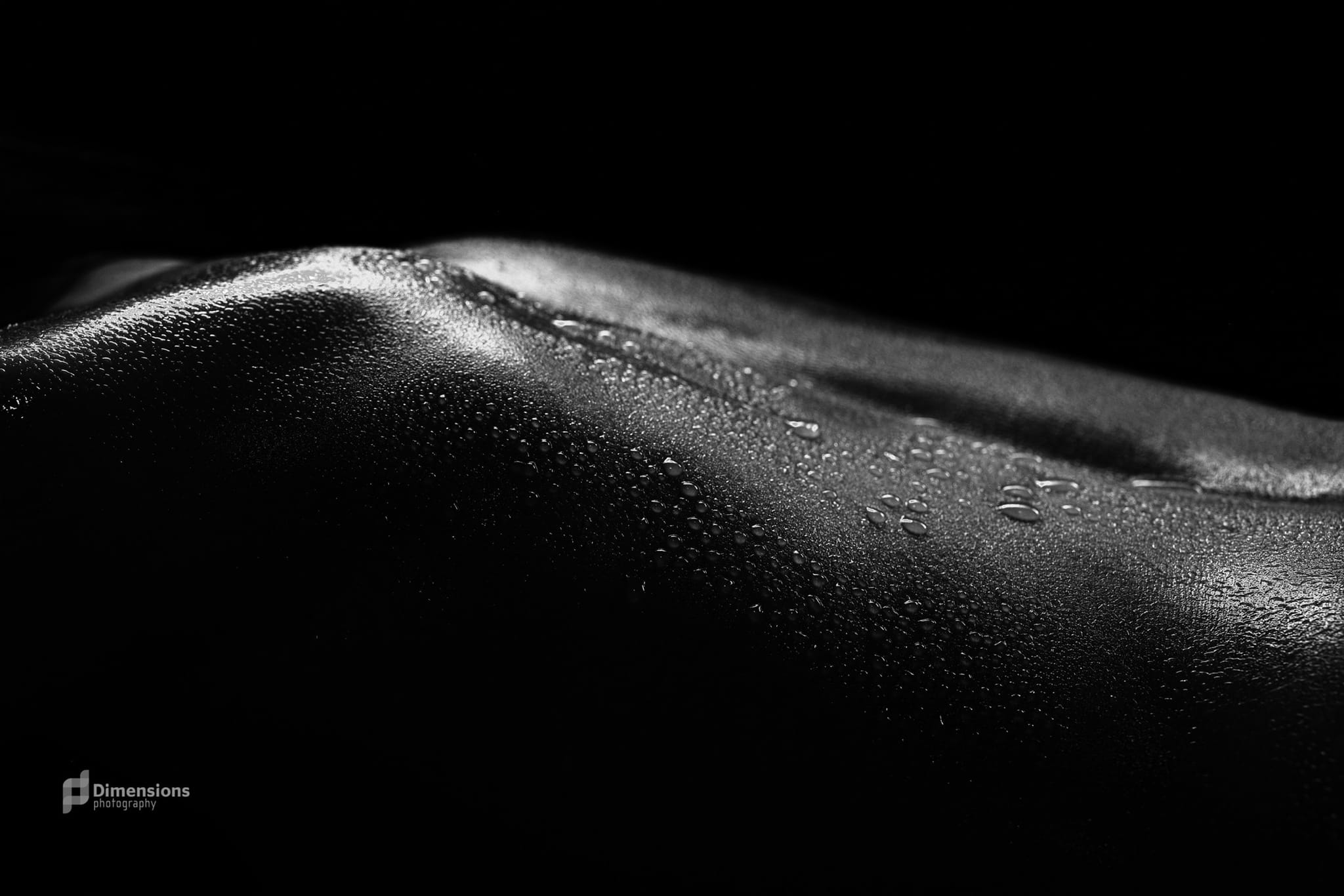 Black-and-white fine-art close-up of skin and light, a studio artistic-nude study.
